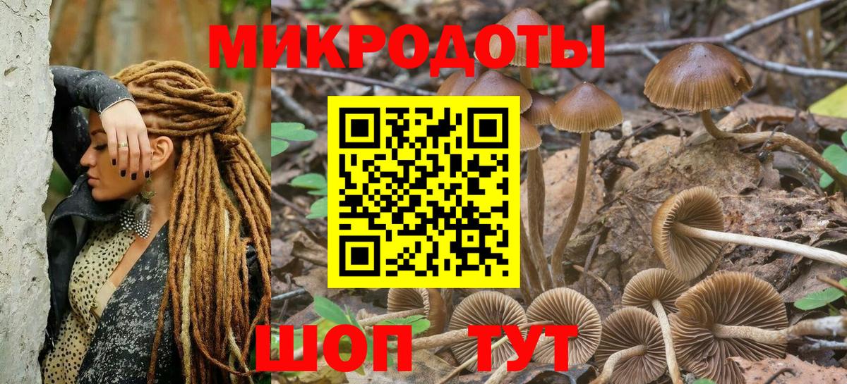 Галлюциногенные грибы ЛСД Шелехов